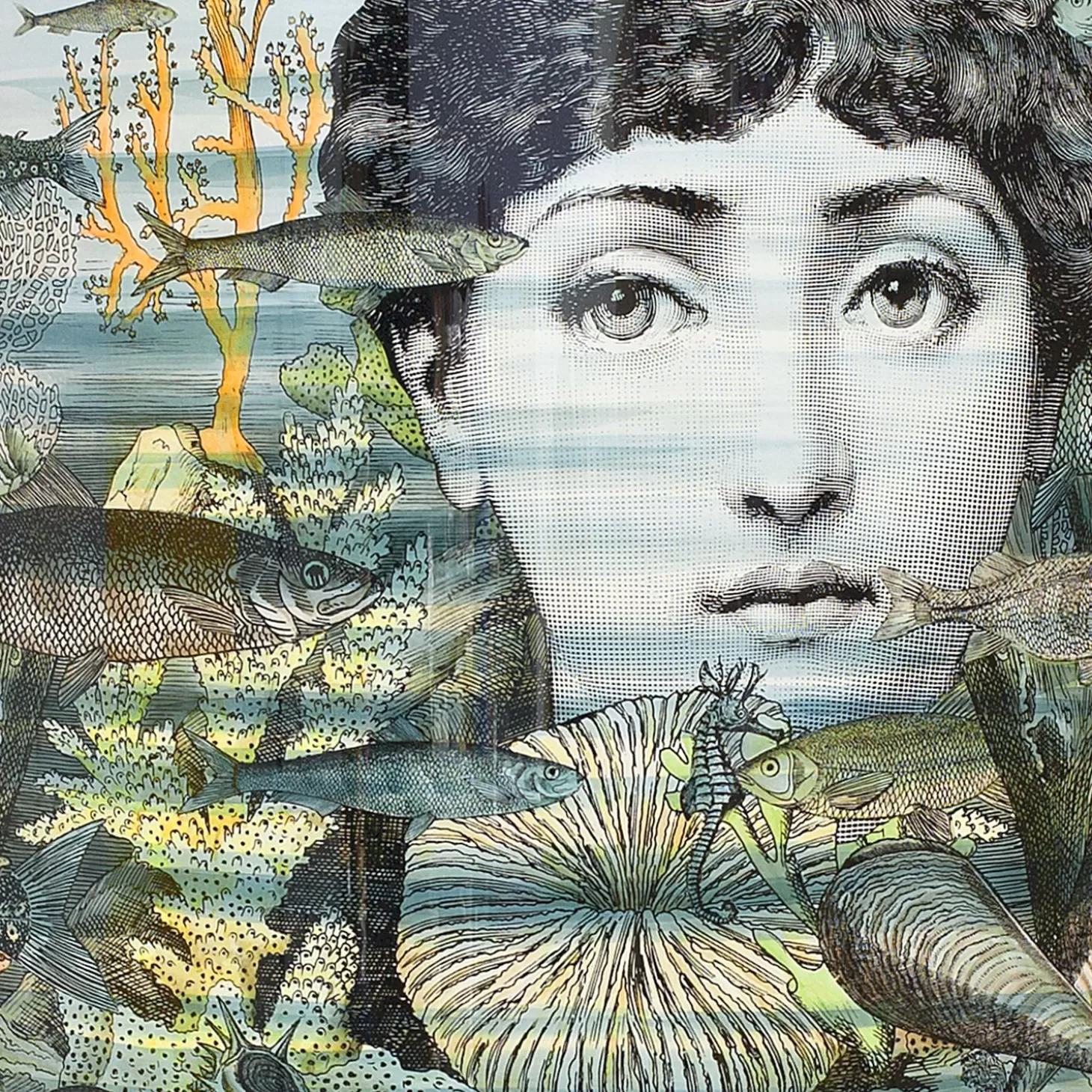 Fornasetti Consola Sirena^ Console Di Archiviazione