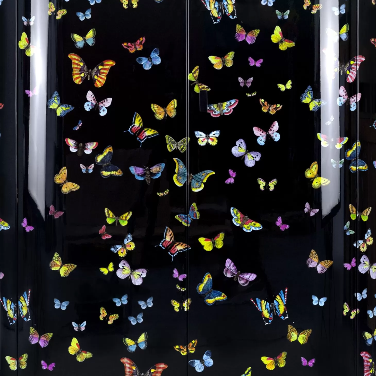 Fornasetti Mobile Curvo Farfalle^ Armadi Curvi