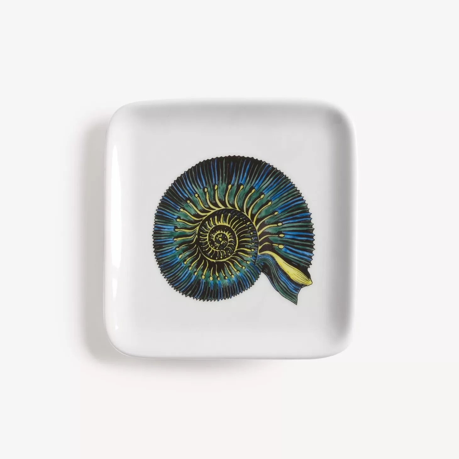 Fornasetti Posacenere Conchiglia Fossile^ Posacenere Di Design