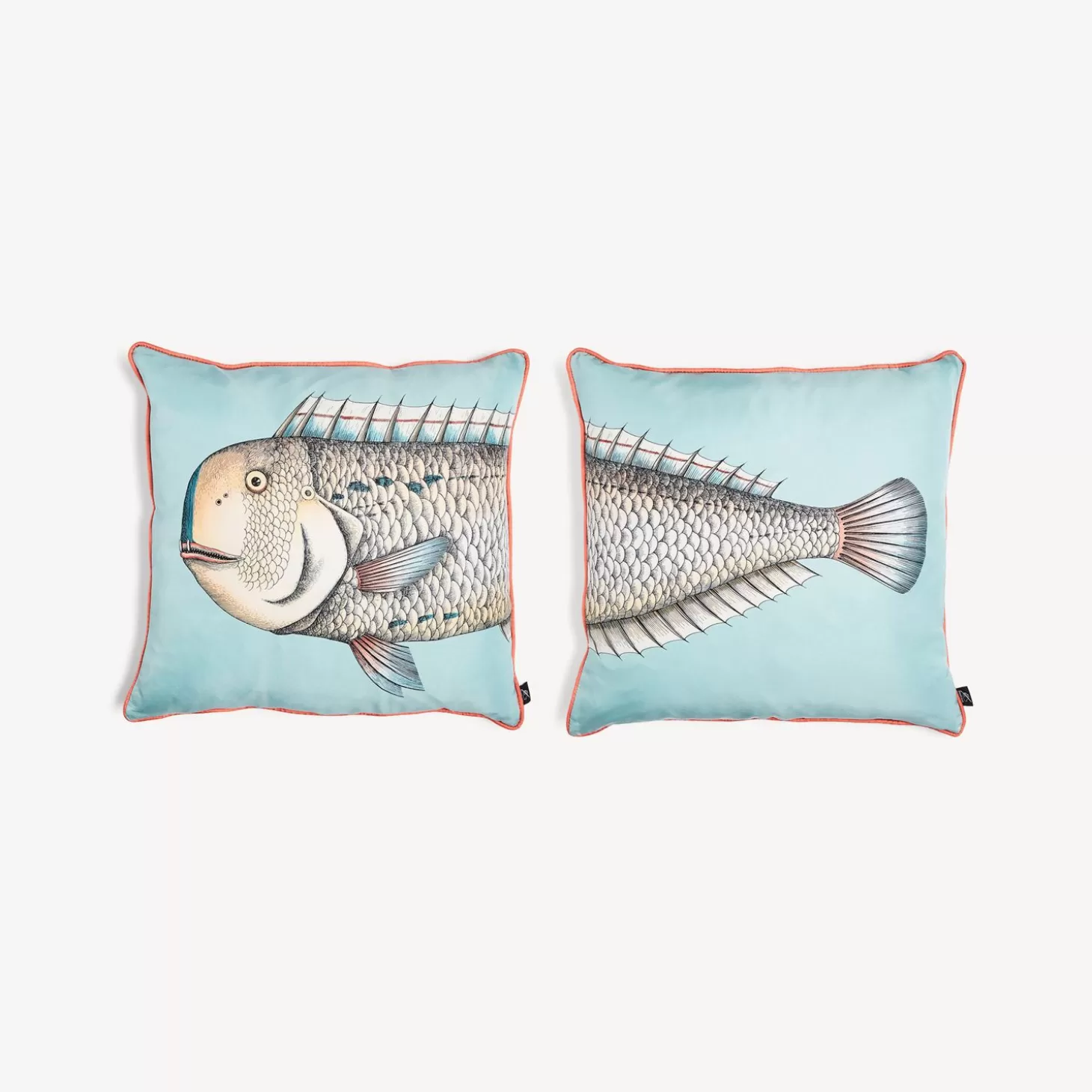 Fornasetti Set Di 2 Cuscini Grande Pesce^ Cuscini