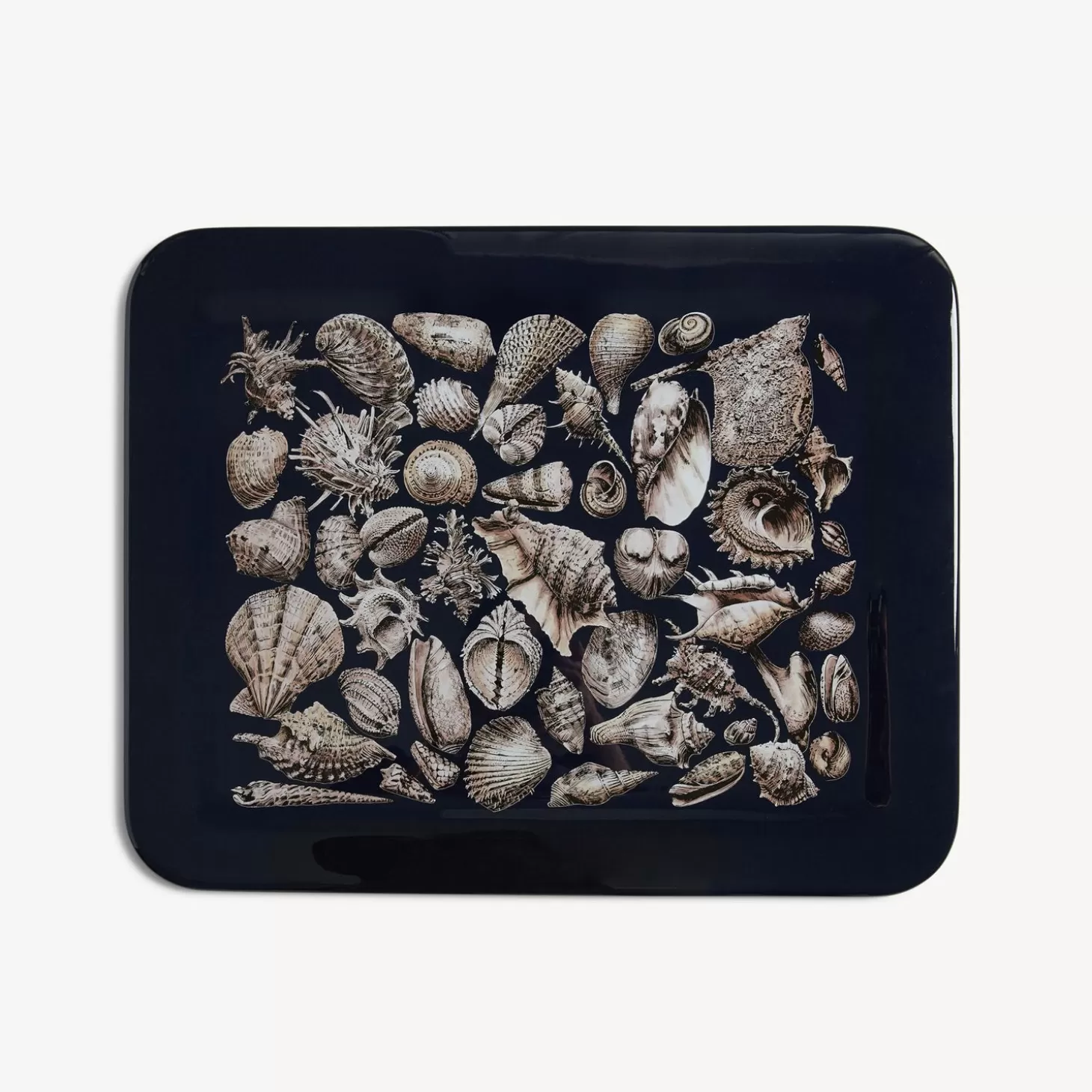 Fornasetti Vassoio Conchiglie^ Vassoi E Pliants Decorativi